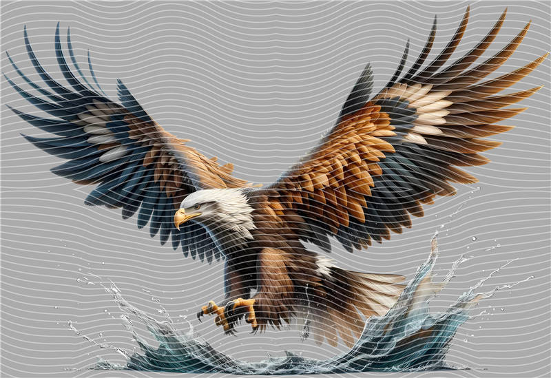 latest edition-KNY 50